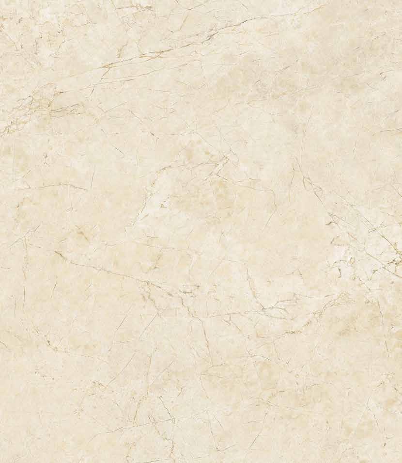 Special Design