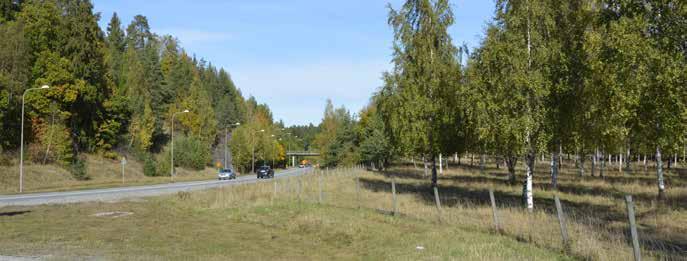 46 KOMPLETTERANDE SAMRÅDSUNDERLAG ÖVERBY-BECKOMBERGA Figur 28. Väg 275 igenom Igelbäckens kulturreservat. Vy mot norr. sant och känsligt landskap.