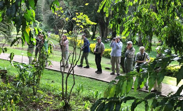 Vi spanar efter Forest Wagtail. Ictoria Park, Nuawara Eliya, Foto: Göran Pettersson INLEDNING Årets resa till Sri Lanka bjöd på mycket fint i såväl fågelväg som däggdjur, reptiler och fjärilar.