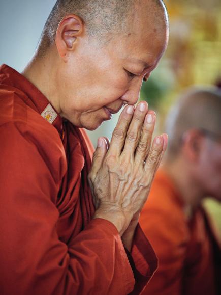Sedan hon blev munk 2001 har Dhammavanna inte arbetat utanför klostret utan helt dedikerat sig åt uppgifterna som är tillskrivna bhikkhunier.