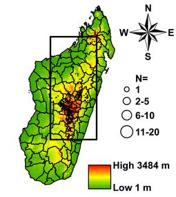 Yersinia pestis på Madagaskar Varje år brukar några hundra personer insjukna I pest på Madagaskar (i år ca 900), vanligen under den varma och regniga perioden april-oktober.