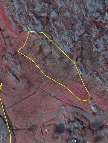 Bohuskusten (Figur 7a). I gränsen mot myr kan man kanske snarare förvänta sig ett band av fukthedsvegetation längs med kanten mellan myren och den torrare fastmarken (Figur 8a).