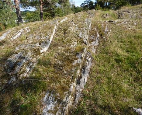 a-e) Basisk