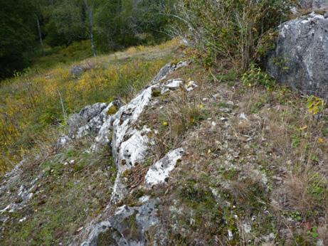 basisk berggrund