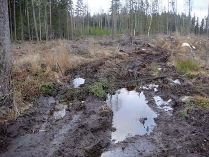 7. Körskador som försämrar upplevelsevärdet på frekvent använda friluftsområden Denna körskada har