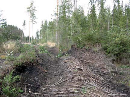 Den försämrar dock områdets upplevelsevärde. Foto: Eva Ring. 8.