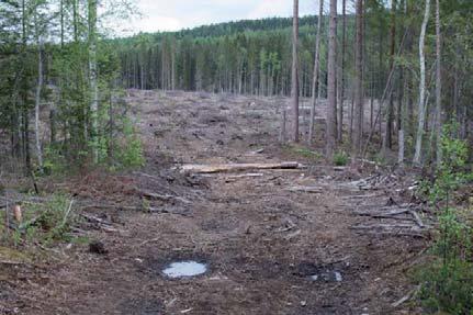 Återställning av uppkomna körskador I närhet av vattendrag och sjöar eller på torvmark: Uppkomna körskador åtgärdas endast för att minska kraftig slamtransport till vattendrag och sjöar.