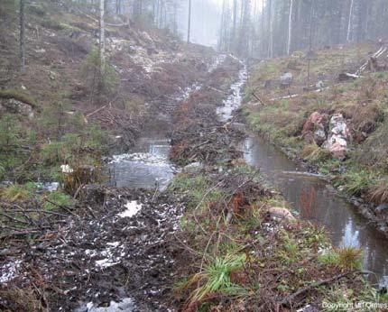 Slamtransporten medför att livsmiljön för vattenlevande organismer försämras och ökar tillförseln av tungmetaller och näringsämnen.