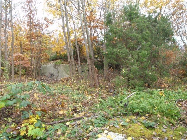 Foto 2. Bild från område B (Flogenvägens södra område) Beroende på hur den planerade byggnationen kommer att se ut och var inom tomten huset placeras kan grundläggning skilja sig.