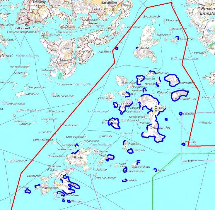 Rekreationstrycket på området är stort från huvudstadsregionen och Borgå samt från området i fråga.