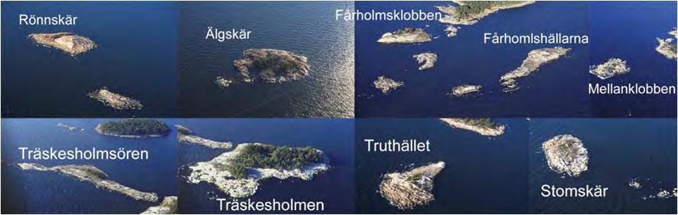 5.6 Naturmiljö Beteckningarna för naturvärden och naturlandskap grundar sig på gjorda utredningar (kapitel 2.2.6).
