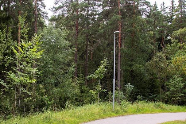Bilaga 1 Lokalbeskrivningar och inventeringsresultat Lokal 1 - Vårby källa, 250 m SO badplatsen i Vårby. koordinat 6572477/1618575. Mycket bullrig miljö nära E4:an.