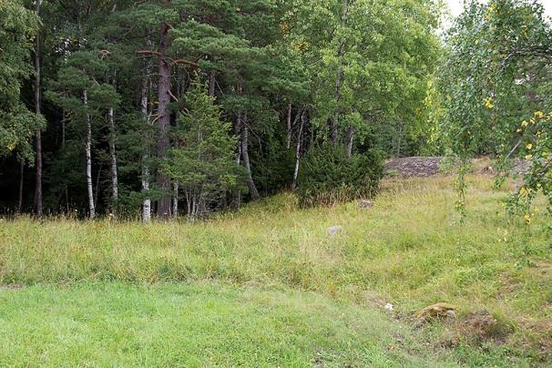 Mörkt och klart väder, hög luftfuktighet, vindstilla och temperatur 11-13 C. Måttligt god insektstillgång. Vid tillfället gjordes 1 registrering, 23.10, av dvärgpipistrell.