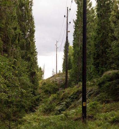 Lokal 19 - Brostuhagen SV, 350 m V om Fornborgen, koordinat 6567841/1624489. Långsträckta, ganska täta barrbryn längs ledningsgata med ängsvegetation.