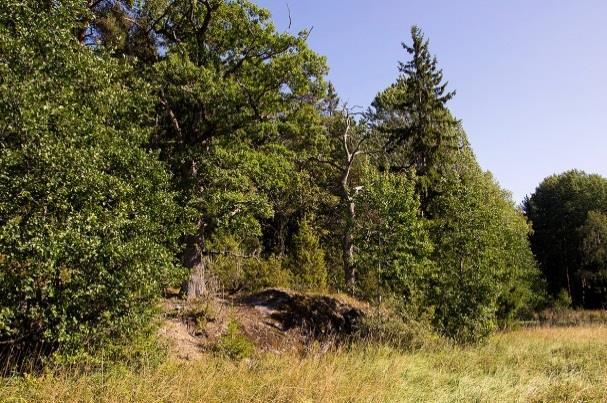 Lokal 22 - Flemmingsbergsviken, 250 m N om Stensättra gamla tomt, koordinat 6567995/1625118.