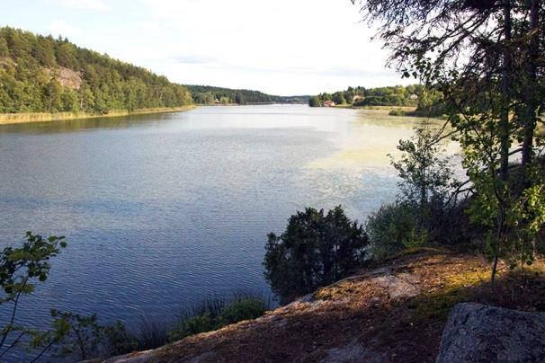 Ganska låg men något ojämn bullernivå, 38-42 db. Måttligt god insektstillgång. Vid tillfället noterades hög fladdermusaktivitet med 15 registreringar, 21.56, 21.58, 22.04, 22.06-22.