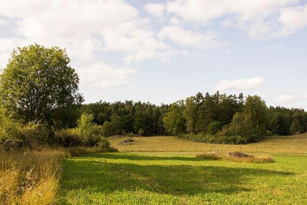 12, av nordfladdermus, samt 3 registreringar, 21.52, 22,14 och socialt läte 22.08, dvärgpipistrell. Lokal 23 - Stensättra offerkast N, 200 m SV om Stensättra gamla tomt, koordinat 6567702/1624968.