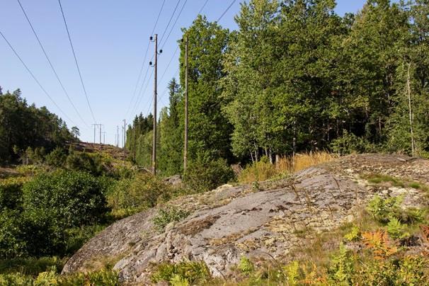 Lokal 26 - Grindtorp N, 500 m NO om Gladö ridhus, koordinat 6566866/1625404. Nyligen restaurerad ekhage med grova ekar, en hålek med mycket fladdermusspillning vid stambasen. 2017-08-27, 01.00 01.10.