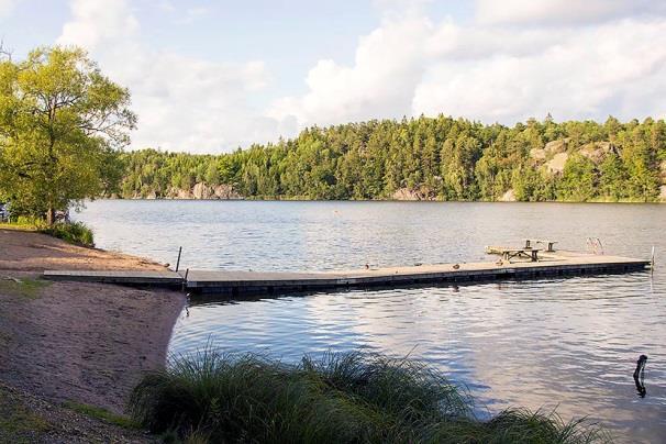 Lokal 31 - Sundby gård V, ca 50 m V om gården, koordinat 6566489/1626356. Ekbacke med glest buskskikt och flera mycket grova ekjättar. Fladdermusregistrering genomfördes med autobox 2017-08-13-14, 20.