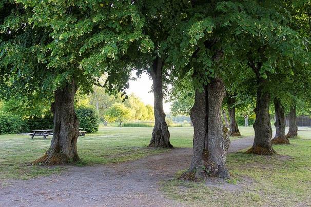 36), 1 av nordfladdermus (01.44), samt 3 registreringar, inklusive sociala läten, av dvärgpipistrell (21.49, 01.31, 02.26). Lokal 32 Sundby gård, stranden vid badplatsen, koordinat 6566422/1626724.