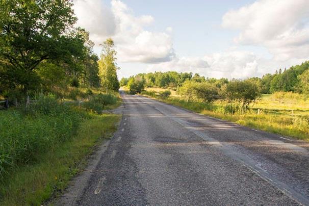 Lokal 38 - Gladövik SSO, 200 m SSO om gården Gladövik, koordinat 6565719/1626910. Betad ekhage med ganska glest stående, måttligt grova, fristående träd av framförallt ek.