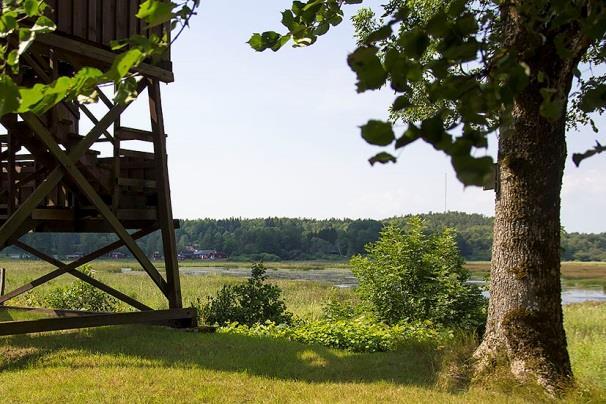Lokal 44 - Persberg SV, 250 m VSV om Persberg längs Persbergsvägen, koordinat 6564296/ 1629724. Trädgårdsmiljö med medelgrova, fristående ekar, och en del andra träd och buskar.