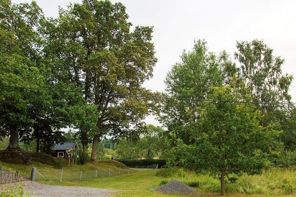 Halvklartmulet väder, temperatur 11-13 C, vindstilla och mycket god insektstillgång, med mycket gott om nattfjärilar. Vid tillfället gjordes 1 registrering, 23.