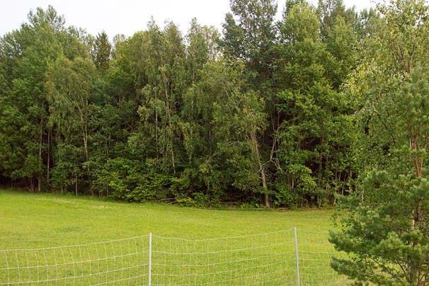 7-08-08, mellan kl. 22.10 och 22.20. Halvklart-mulet väder och månljust, vindstilla, temperatur 13-15 C och ganska ojämnt brus, 38-42 db, framförallt från väg 259.