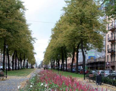 Denna gata ska vara trivsam att vistas på och vid utformning av gatan är det viktigt att ta hänsyn till vind- och väderförhållanden.