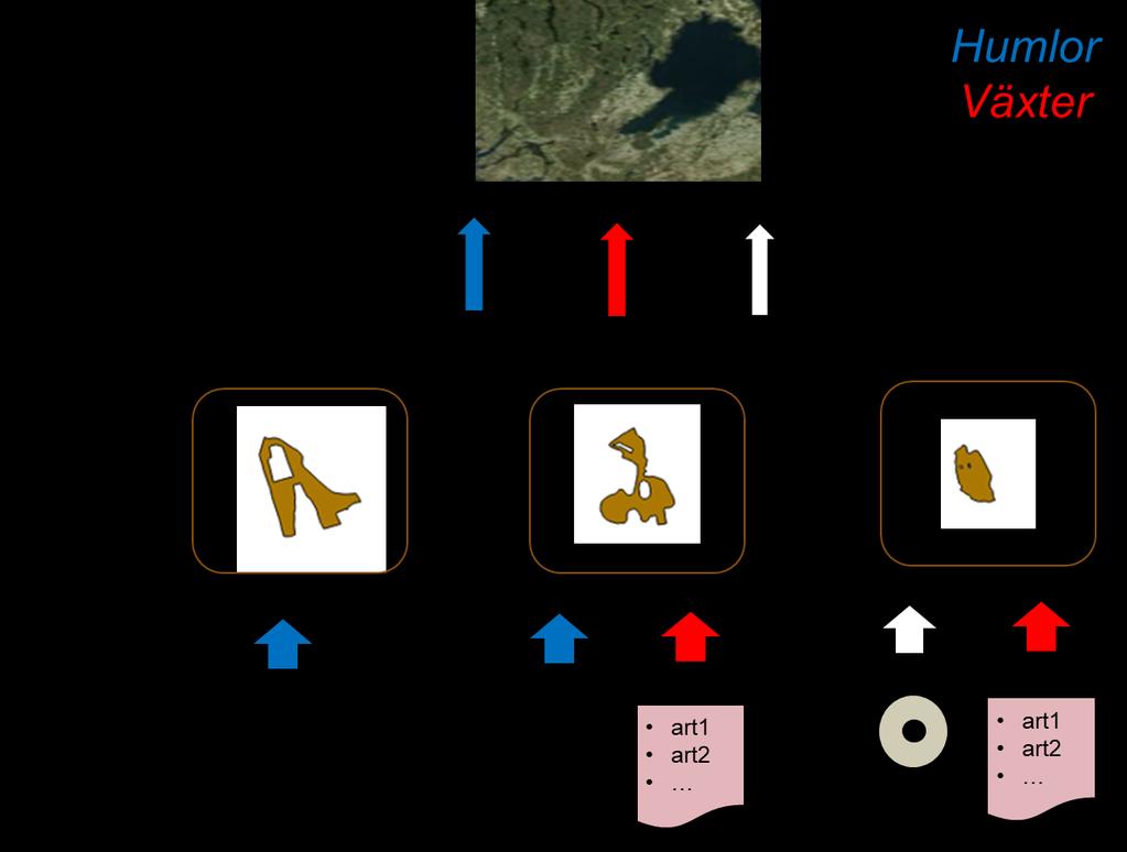 Datakällor Info om ÄBO TUVA Blockdatabasen Art-data Svensk Fågelstaxering Fjärils- och humleinventeringen Ängs-och betesmarksinventeringen