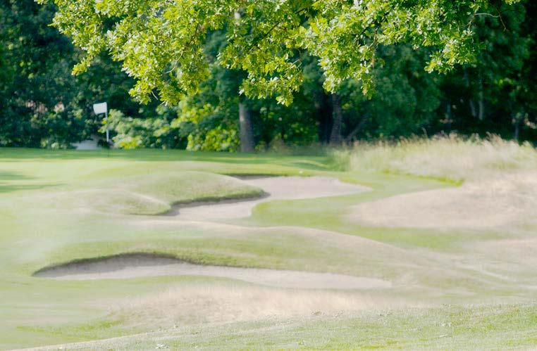 2 SVENSKA GOLFFÖRBUNDET SVENSKA GOLFFÖRBUNDET 3 Inledning. Planering och Ekonomi. Inför säsongen.