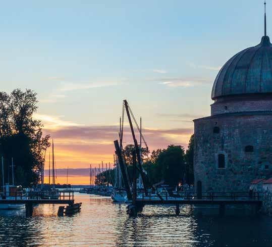 Ta del av en kreativ historia. Välkommen till Vadstena. Ge bort ett Träd!