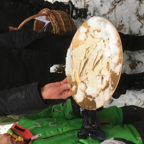 Det var här det föll ett träd när Kättil klampade in, det ser vi. Men källan är vacker ändå, och känns lite magisk. Det ska finnas en stubbe, den hittar vi.