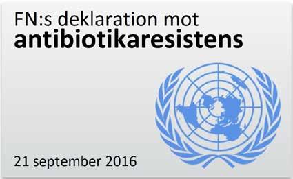 2018-11-27 26 Strama Stockholm FN och WHO