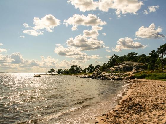 En rad promenadstigar finns att gå på och man har bra sikt genom skogen så man kan ta en liten avstickare utan att gå vilse.