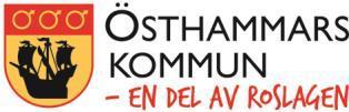 LIKABEHANDLING OCH MOTVERKA DISKRIMINERING