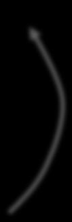 sequencing lab directional dutp polya RNAseq library RNA Illumina