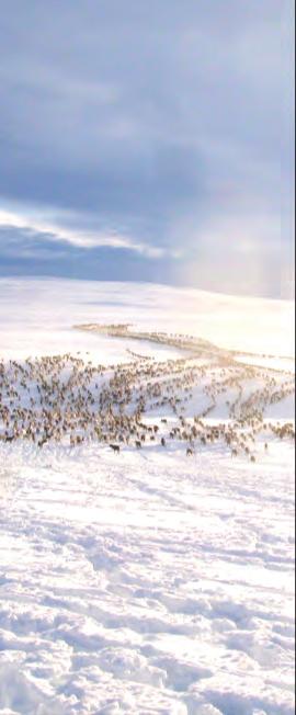 SE Bränsle och ledavgifter ingår i km-priset (10 kr/km) ons 6 feb BOKNING: 070-604 26 11 SAMISKA NATIONALDAGEN LYNX ADVENTURE VI 600 FIRAR ACE MED renbuljong, HYRPRISER kokt LYNX COMANDER 900 ACE