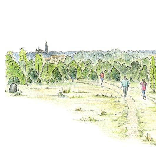 Välkommen till Röbo- och Tunåsen Gamla Uppsalastråket Gamla Uppsalastråket ligger precis norr om Uppsala stad, mellan Bärbyleden och Kungshögarna i Gamla Uppsala.