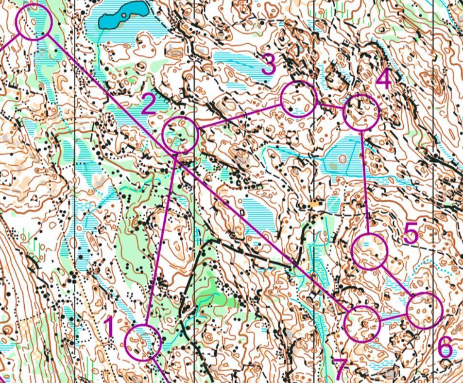 Tävlingsterrängen / gamla kartor Den nyaste kartan över en stor del av tävlingsområdet är kartan från FM-medel 2016.