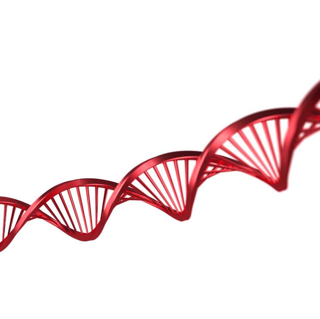 s premium-dna Mer än en bra känsla nnovativt tänkande, blicken för detaljer, extravaganta lösningar och hur de utförs för stor praktisk nytta, den perfekta kombinationen av
