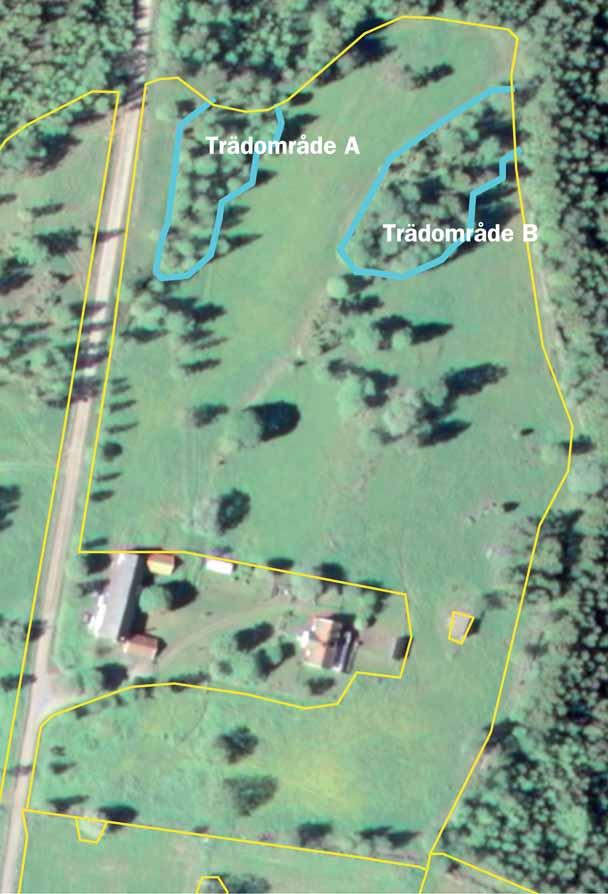 Lantmäteriverket 2005. Ur GSD Fastighetskartan dnr 09-1246/2005. I de blåmarkerade trädområdena A och B finns många träd.