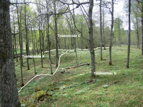 Den här marken är skog. Du kan inte få stöd för den här marken.