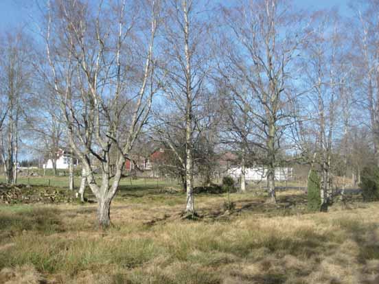 per hektar för att se om du kan söka stöd