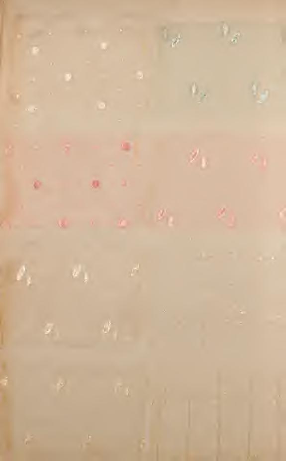 : r# W