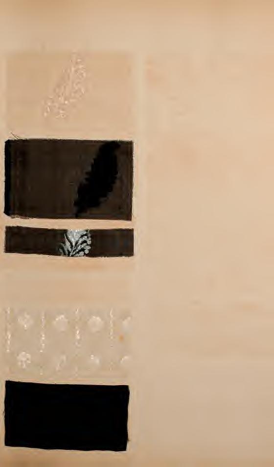 iuê '