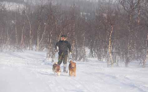 Linnies sambo Robert med Tacha och Emmett. Foto: Linnie Lodestål generation röntgas. Trenden bland de röntgade individerna är dock tydligt nedåtgående.