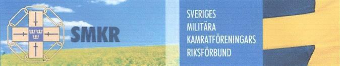 Det svenska flygvapnet hade flygplan som var ljusår framför allt som RAF hade eller skulle komma att få eller har nu och deras piloter spelade i en helt annan division än vi gjorde.