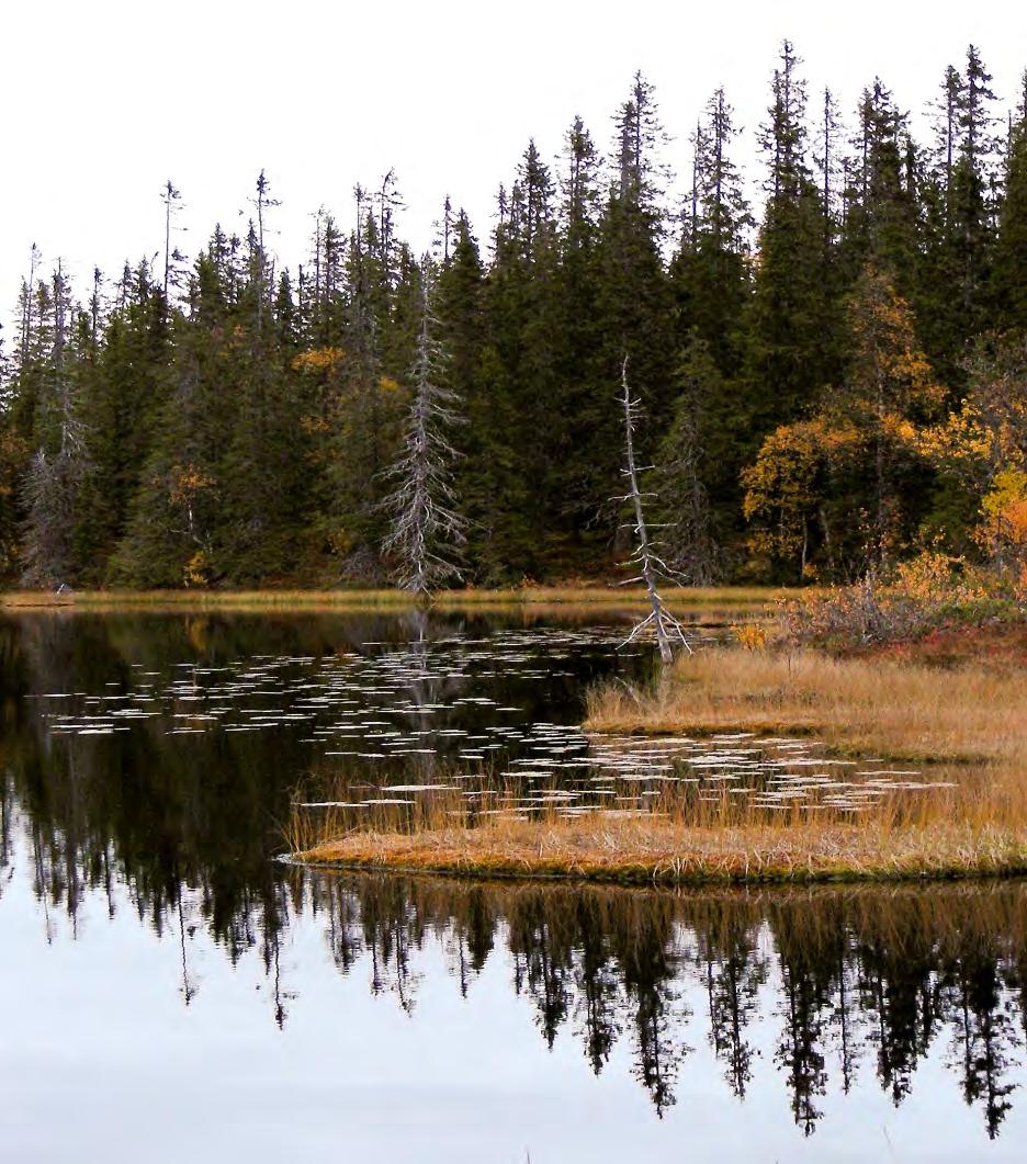 1 / 10 Beslut Datum 2015-01-12 511-6961-11 Dnr (anges vid skriftväxling) Enligt sändlista Beslut för bildande av naturreservatet Gåstjärnvalen Uppgifter om naturreservatet Naturreservatets namn: