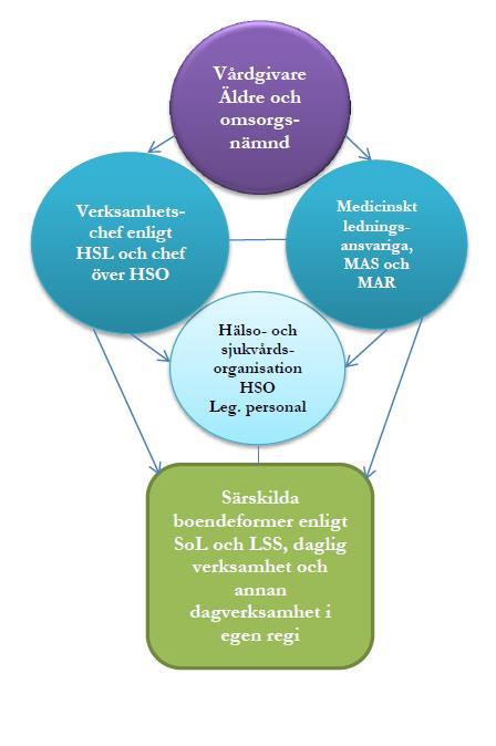 Organisatoriskt ansvar för patientsäkerhetsarbetet Äldre och omsorgsnämnden är av kommunfullmäktige utsedd vårdgivare.